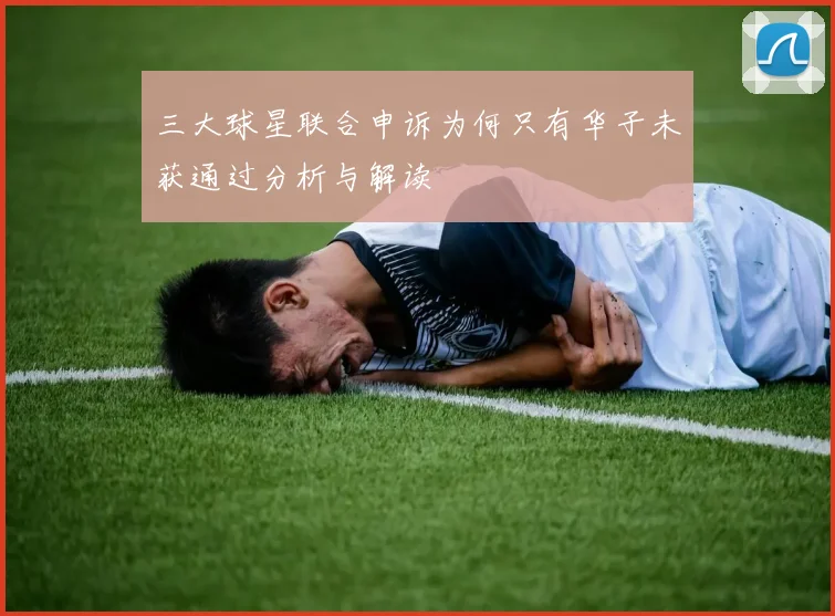 三大球星联合申诉为何只有华子未获通过分析与解读