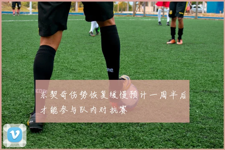 东契奇伤势恢复缓慢预计一周半后才能参与队内对抗赛